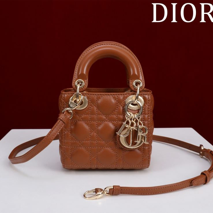 chr1st1an D10r my lady bags